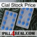 Cial Stock Price 20